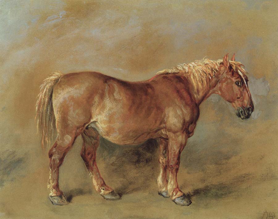 A Suffolk Punch